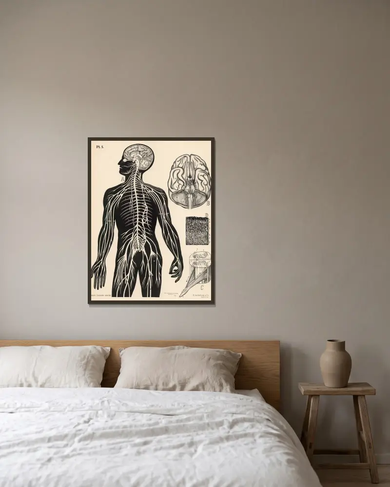 Nervensystem von Peter Dybdahl gerahmt an einer Wand