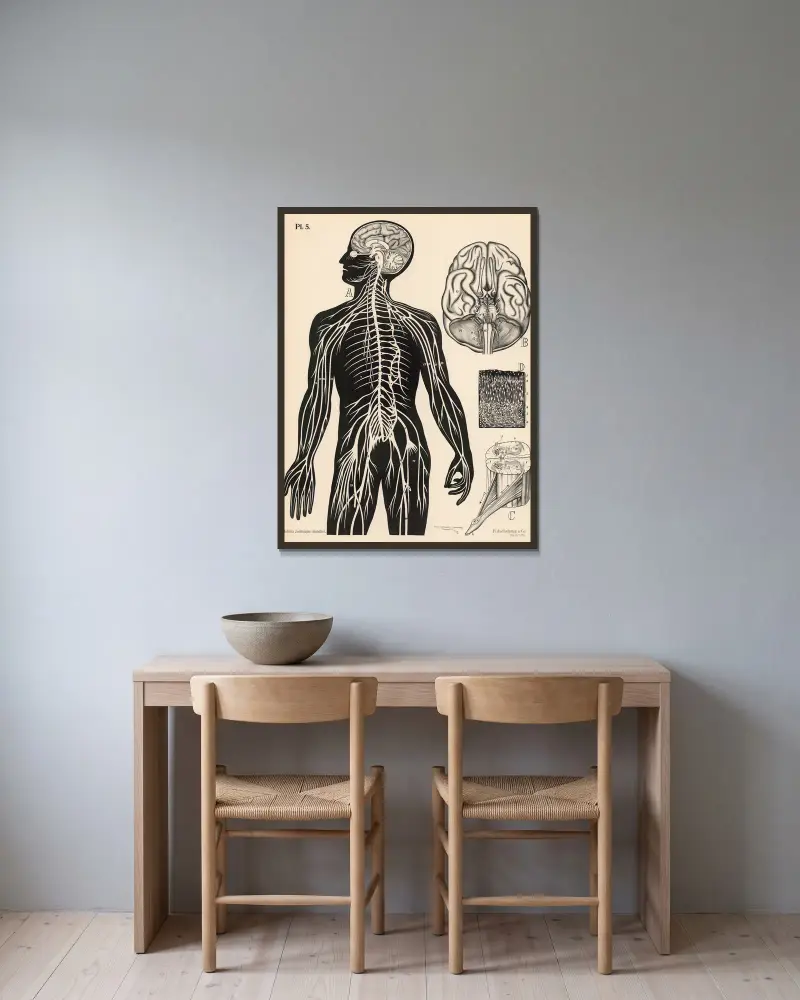 Nervensystem von Peter Dybdahl gerahmt an einer Wand