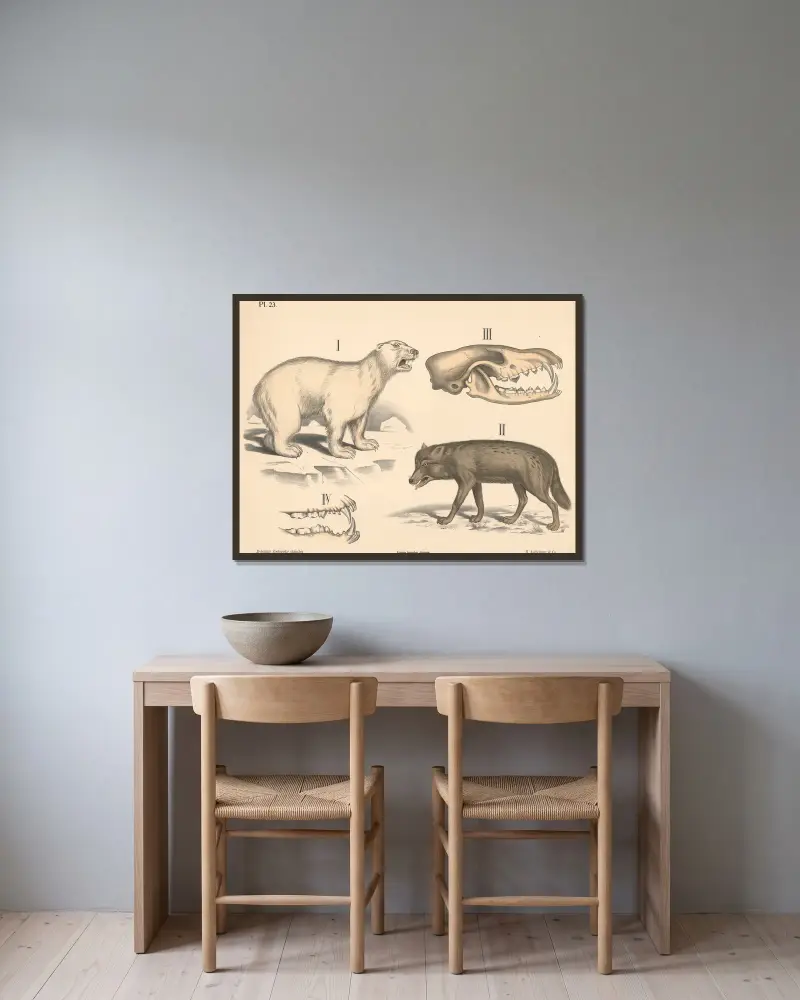 Säugetiere. Raubtiere, Variante 1. von Peter Dybdahl gerahmt an einer Wand