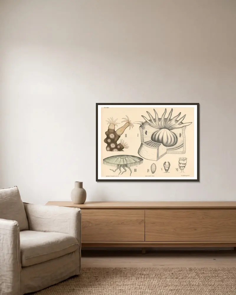 Darmlos von Peter Dybdahl gerahmt an einer Wand