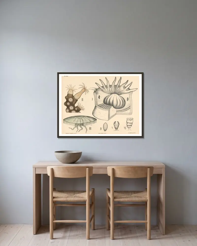 Darmlos von Peter Dybdahl gerahmt an einer Wand