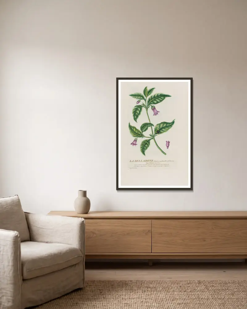 Die Belladonna von Pierre Philippe Alyon gerahmt an einer Wand