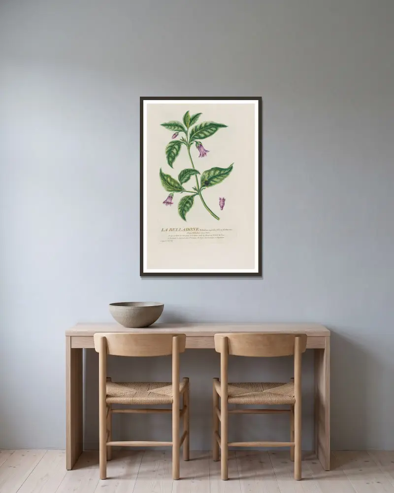 Die Belladonna von Pierre Philippe Alyon gerahmt an einer Wand