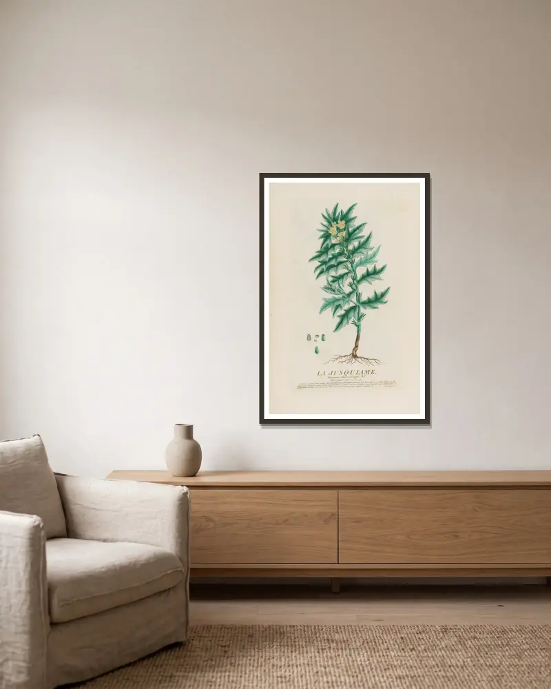 La Jusquiame von Pierre Philippe Alyon gerahmt an einer Wand
