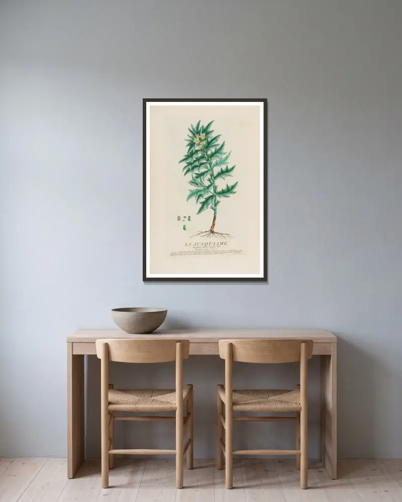 La Jusquiame von Pierre Philippe Alyon gerahmt an einer Wand