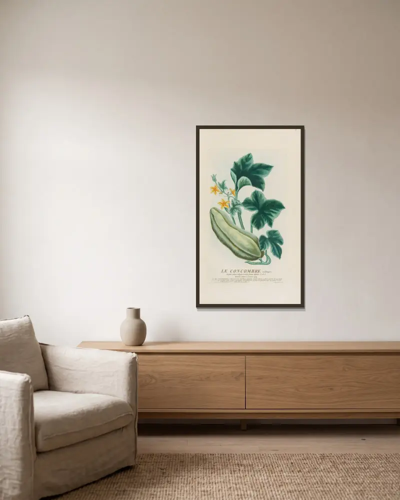 Die gewöhnliche Gurke von Pierre Philippe Alyon gerahmt an einer Wand