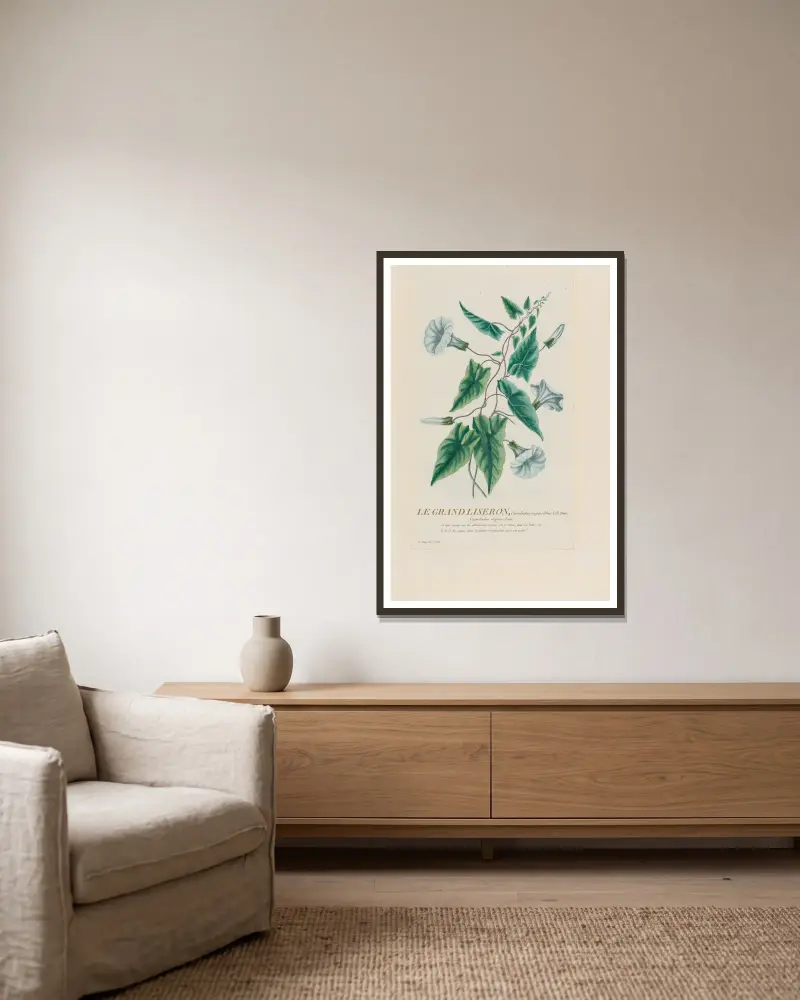 Die große Ackerwinde von Pierre Philippe Alyon gerahmt an einer Wand
