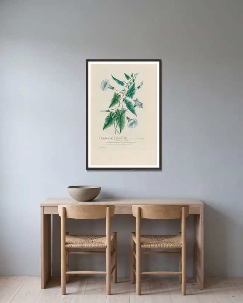 Die große Ackerwinde von Pierre Philippe Alyon gerahmt an einer Wand