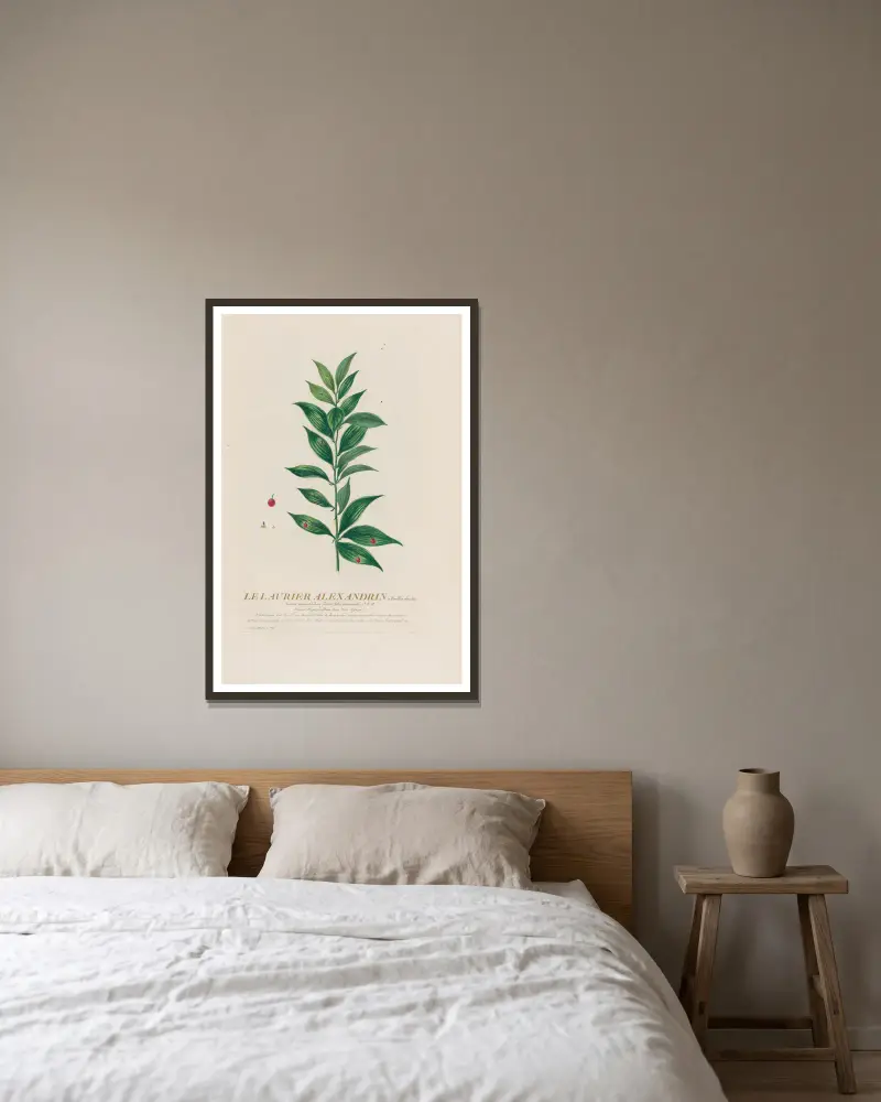 Le Laurier Alexandrin à Feuilles étroités av Pierre Philippe Alyon inramad på en vägg