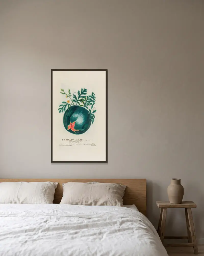 Melon deau, neboli vodní meloun, Pierre Philippe Alyon v rámu na stěně