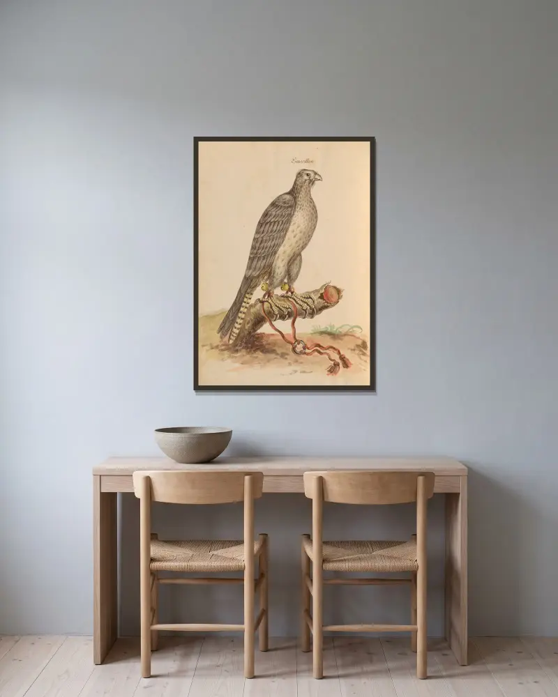 Oiseaux de la Ménagerie du Roi Pl.01 av Pieter Boel inramad på en vägg