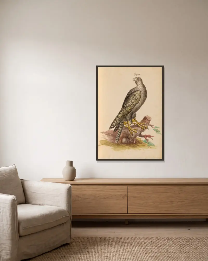 Oiseaux de la Ménagerie du Roi Pl.02 av Pieter Boel inramad på en vägg