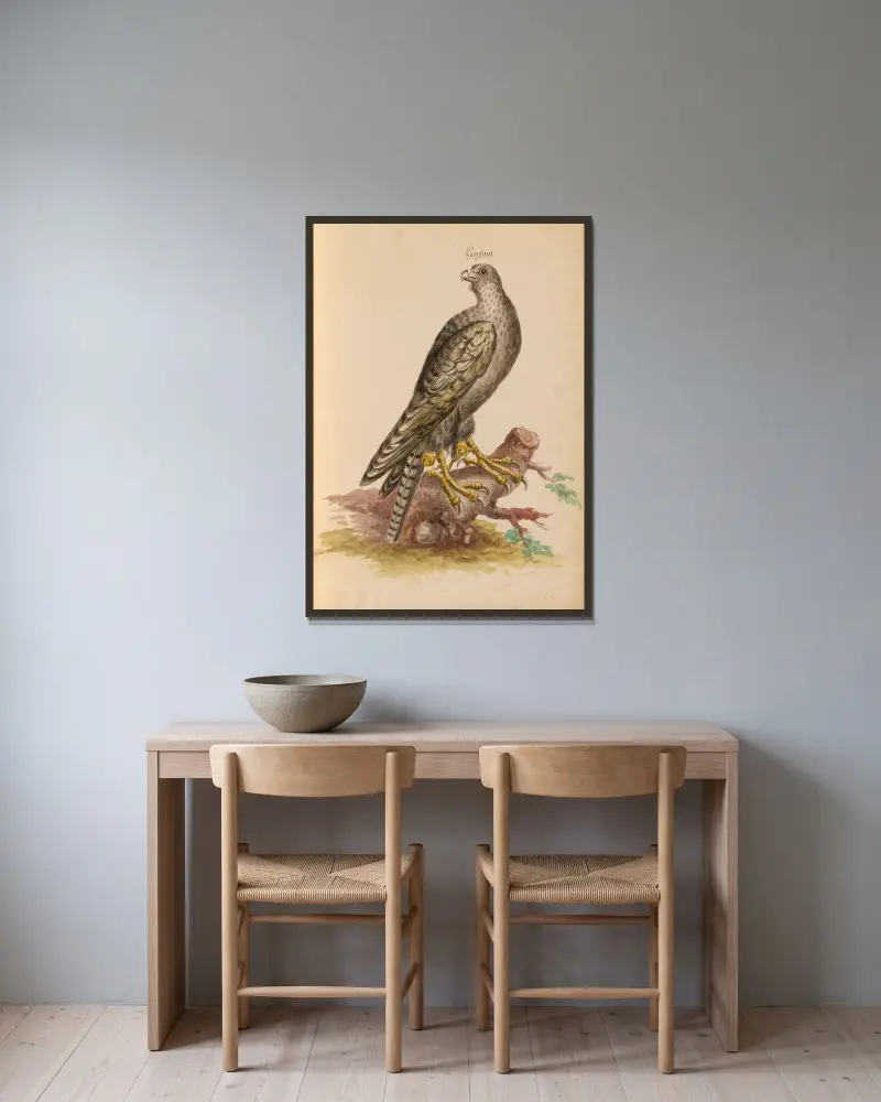 Oiseaux de la Ménagerie du Roi Pl.02 av Pieter Boel inramad på en vägg