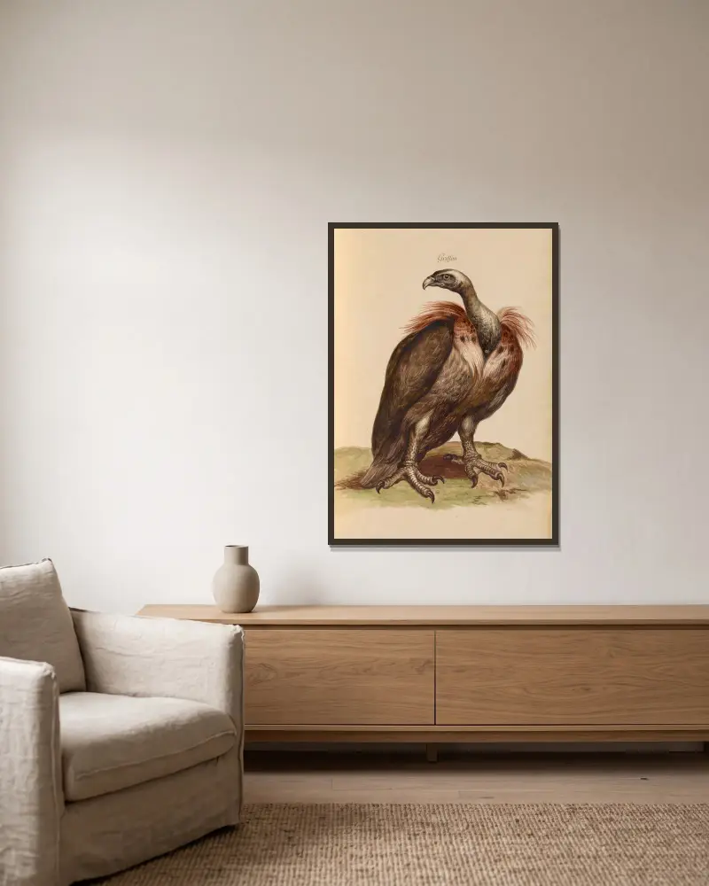 Oiseaux de la Ménagerie du Roi Pl.03 av Pieter Boel inramad på en vägg