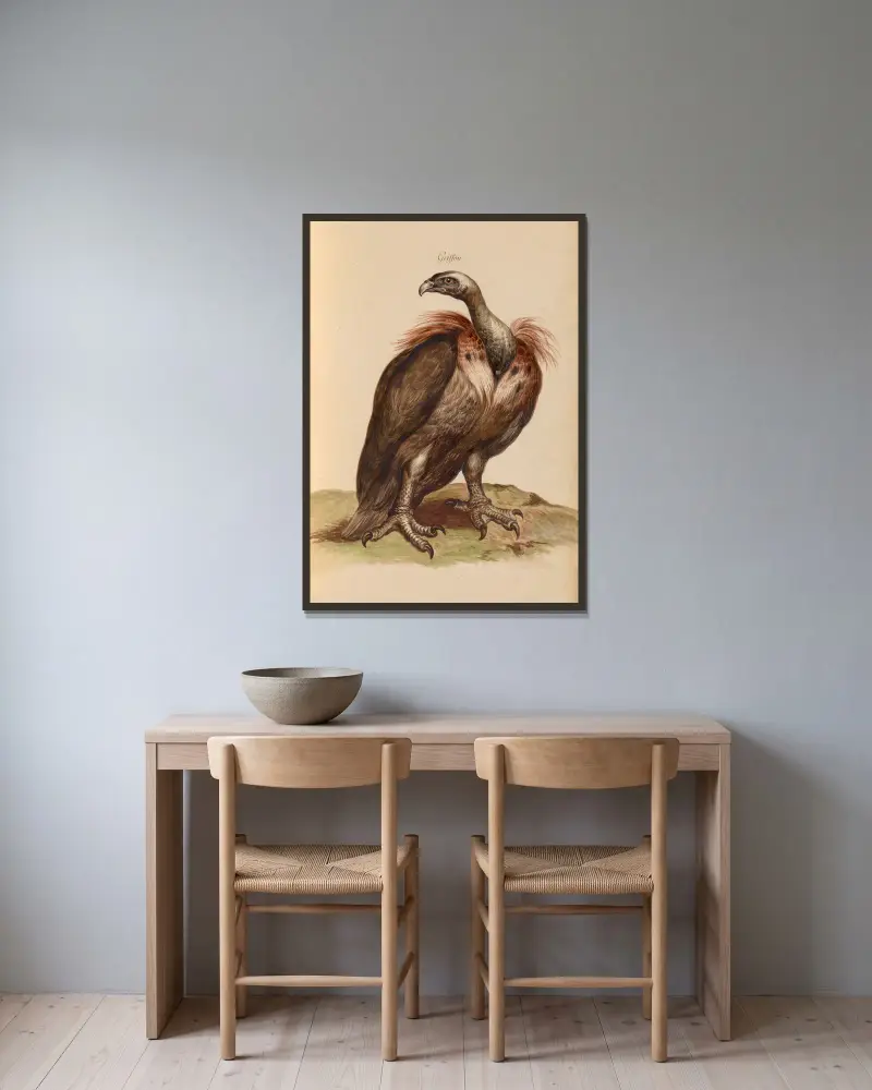 Oiseaux de la Ménagerie du Roi Pl.03 av Pieter Boel inramad på en vägg