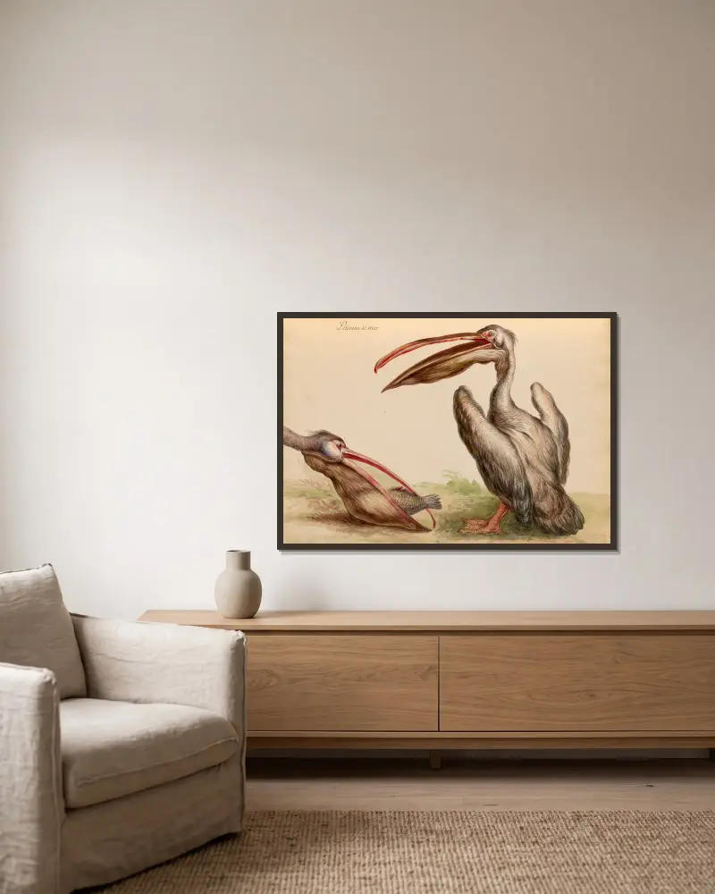 Oiseaux de la Ménagerie du Roi Pl.04 av Pieter Boel inramad på en vägg