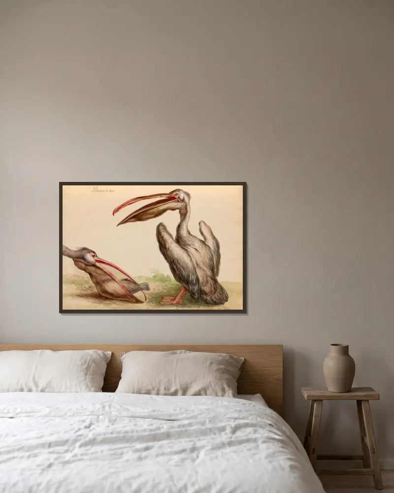 Oiseaux de la Ménagerie du Roi Pl.04 av Pieter Boel inramad på en vägg