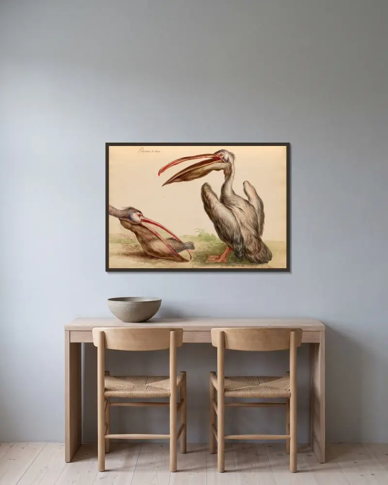Oiseaux de la Ménagerie du Roi Pl.04 av Pieter Boel inramad på en vägg