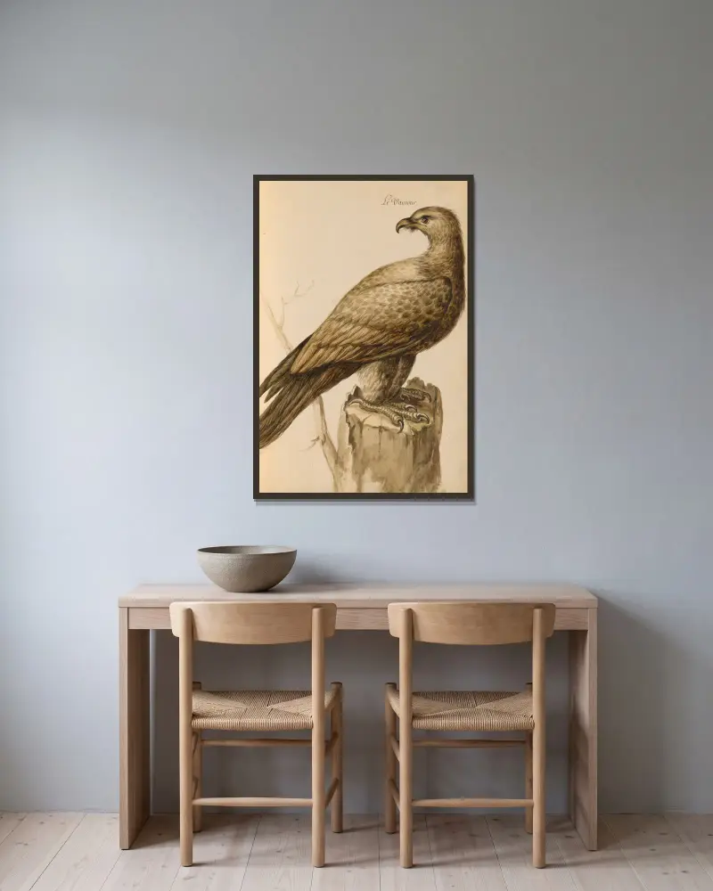 Oiseaux de la Ménagerie du Roi Pl.05 av Pieter Boel inramad på en vägg