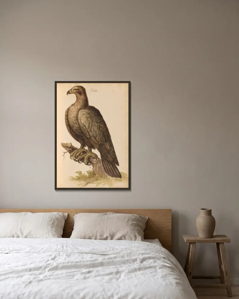 Vögel aus der Menagerie des Königs, Tafel 6 von Pieter Boel gerahmt an einer Wand