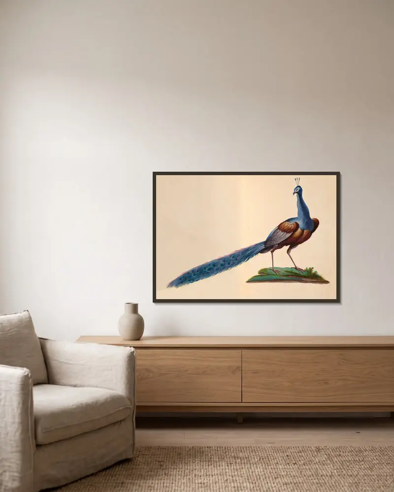 Oiseaux de la Ménagerie du Roi Pl.07 av Pieter Boel inramad på en vägg