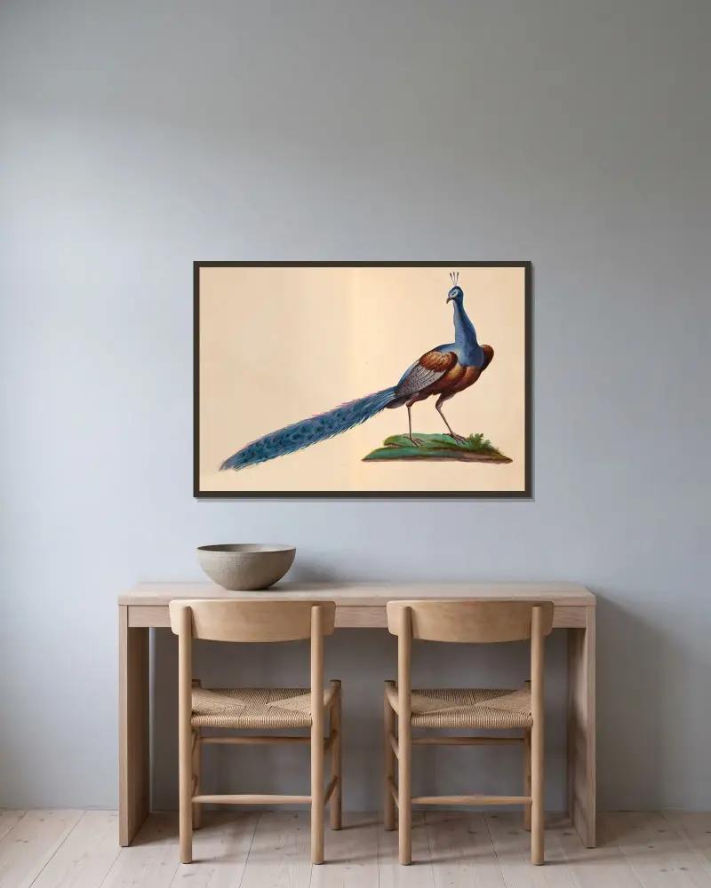 Oiseaux de la Ménagerie du Roi Pl.07 av Pieter Boel inramad på en vägg