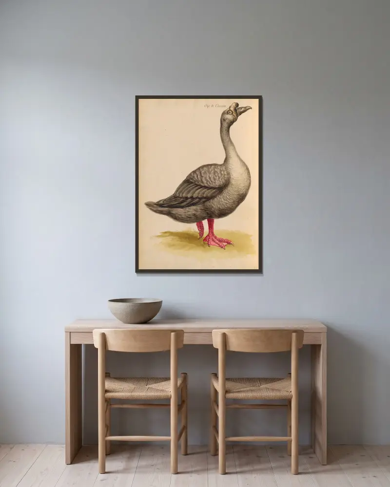 Oiseaux de la Ménagerie du Roi Pl.08 av Pieter Boel inramad på en vägg