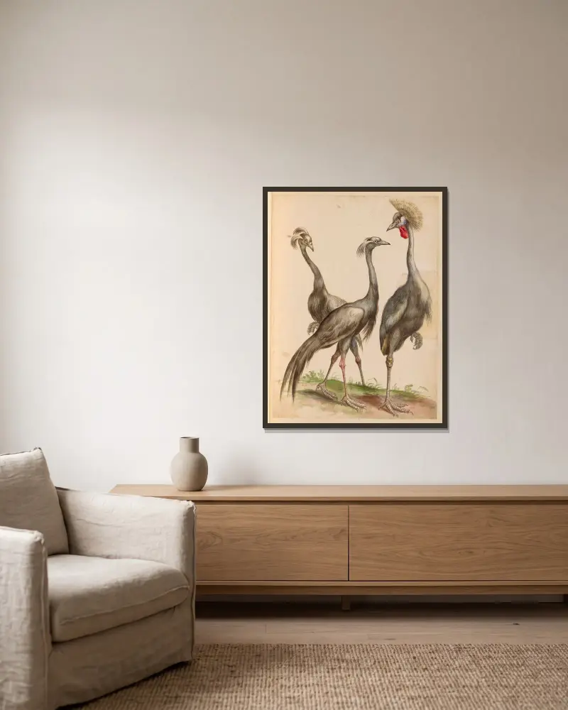 Vögel aus der königlichen Menagerie, Tafel 11 von Pieter Boel gerahmt an einer Wand