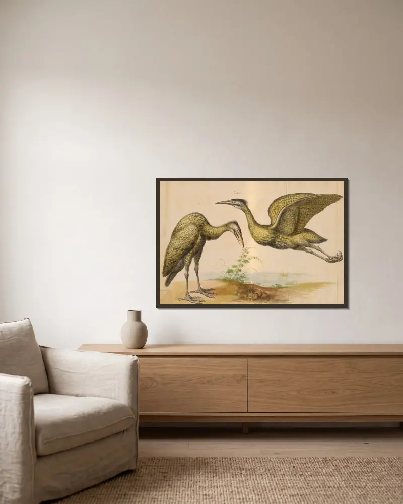 Oiseaux de la Ménagerie du Roi Pl.12 av Pieter Boel inramad på en vägg