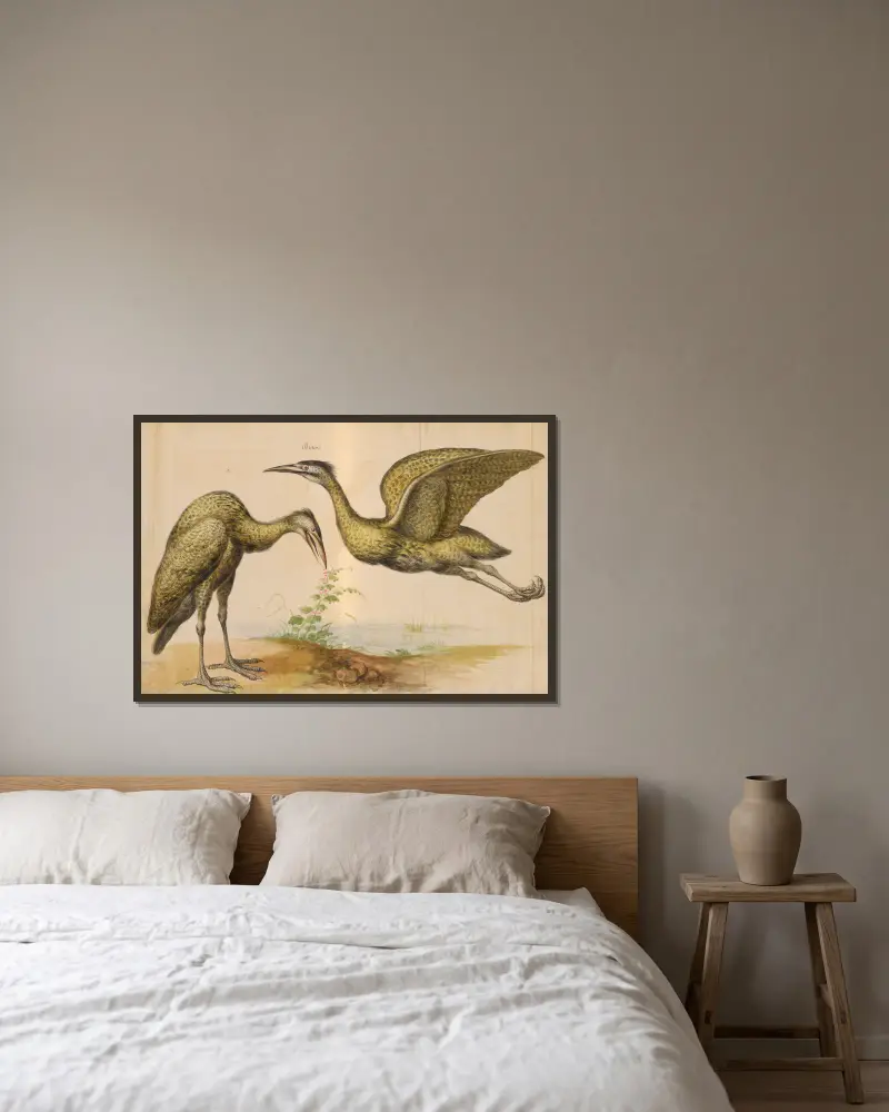 Oiseaux de la Ménagerie du Roi Pl.12 av Pieter Boel inramad på en vägg