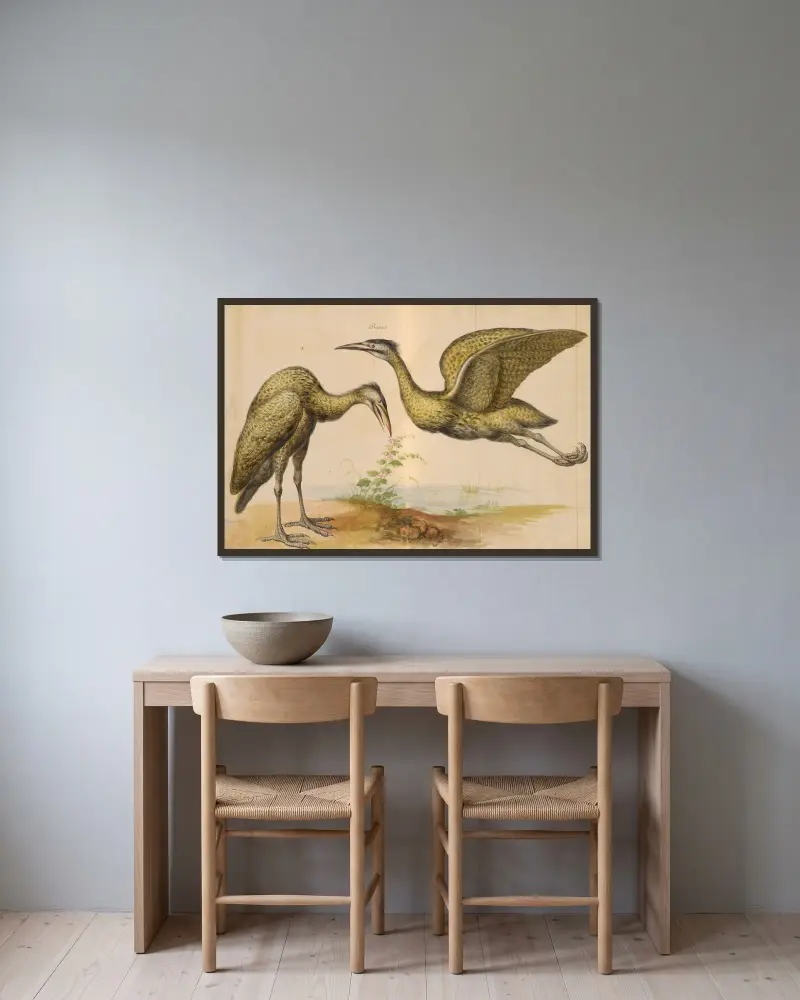Oiseaux de la Ménagerie du Roi Pl.12 av Pieter Boel inramad på en vägg