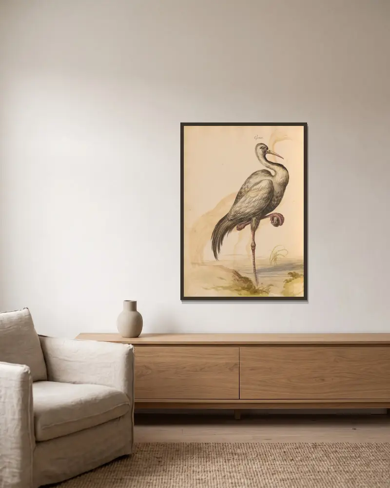 Oiseaux de la Ménagerie du Roi Pl.13 av Pieter Boel inramad på en vägg