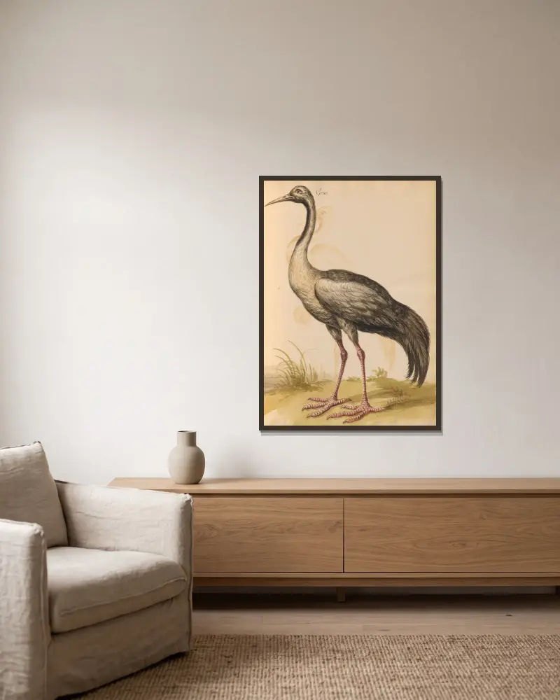 Oiseaux de la Ménagerie du Roi Pl.14 av Pieter Boel inramad på en vägg