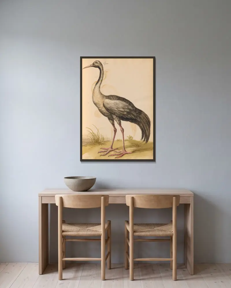 Oiseaux de la Ménagerie du Roi Pl.14 av Pieter Boel inramad på en vägg