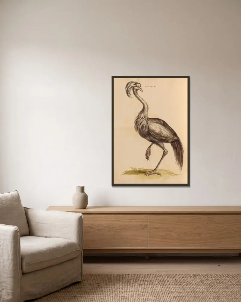 Vögel aus der königlichen Menagerie, Tafel 15 von Pieter Boel gerahmt an einer Wand