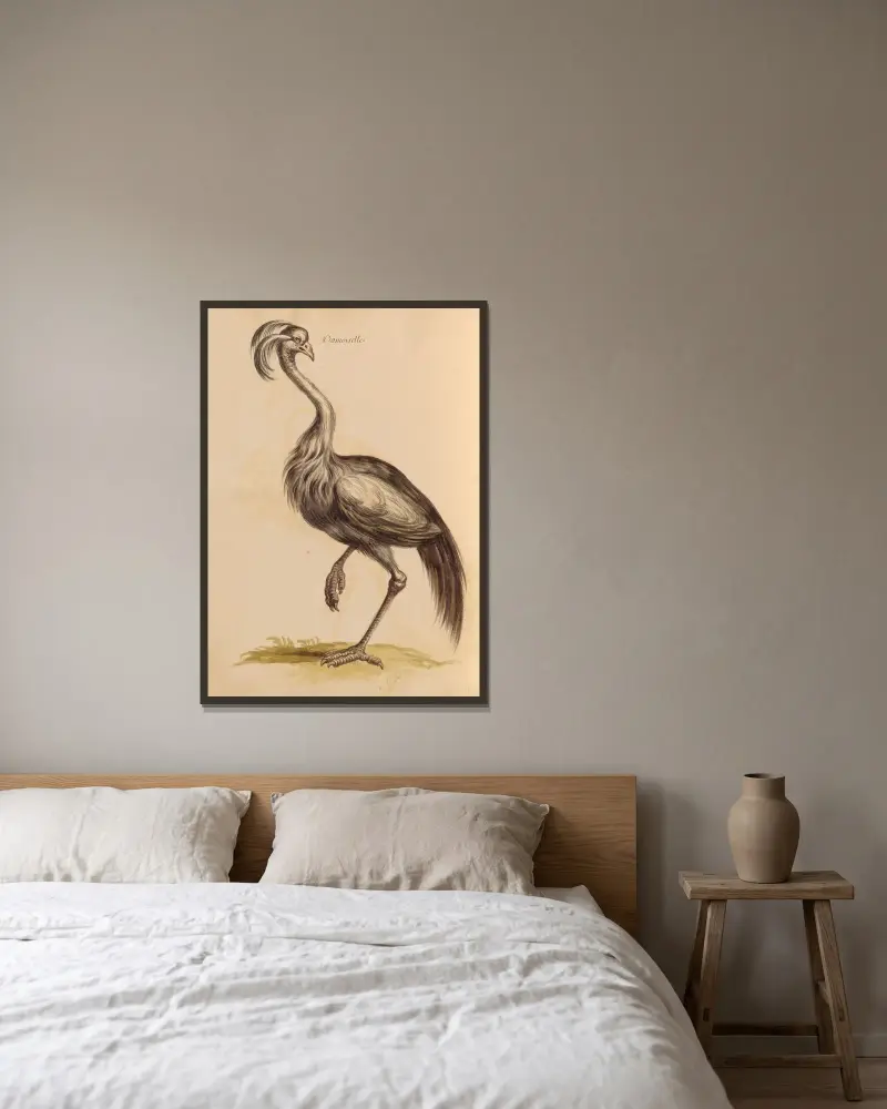Vögel aus der königlichen Menagerie, Tafel 15 von Pieter Boel gerahmt an einer Wand