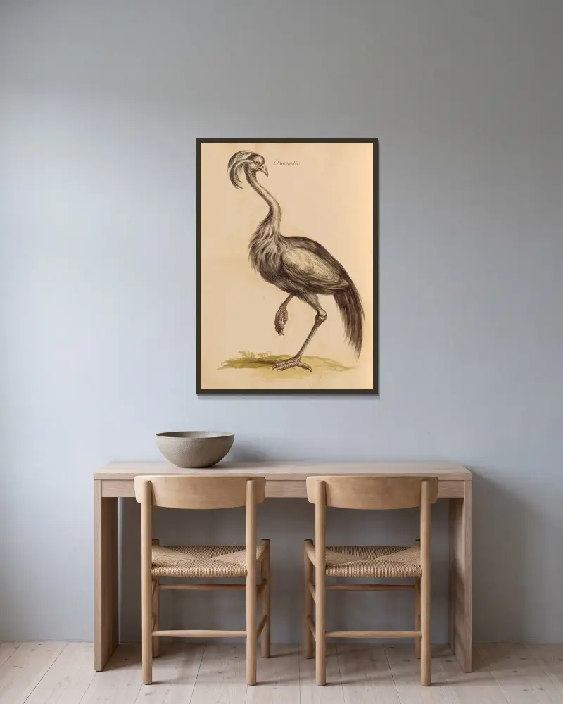 Vögel aus der königlichen Menagerie, Tafel 15 von Pieter Boel gerahmt an einer Wand
