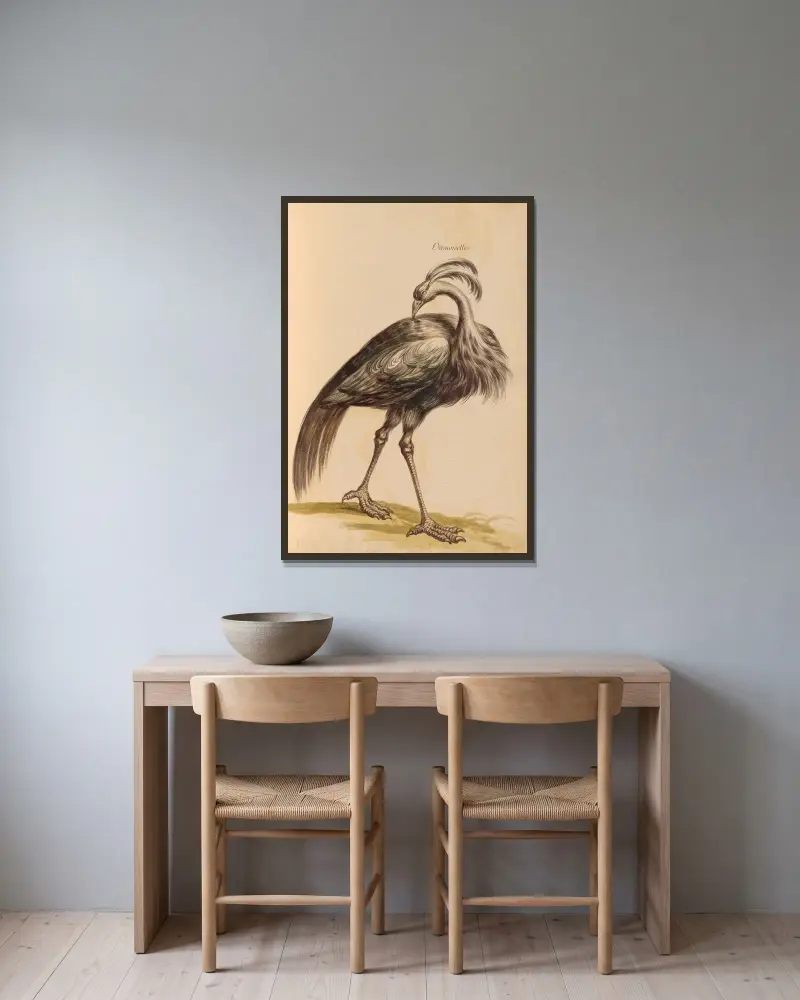 Vögel aus der königlichen Menagerie Taf. 16 von Pieter Boel gerahmt an einer Wand