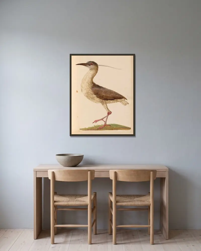 Vögel aus der Menagerie des Königs Taf. 17 von Pieter Boel gerahmt an einer Wand
