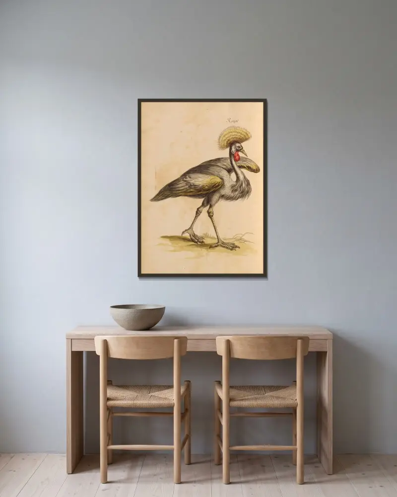 Vögel aus der königlichen Menagerie, Taf. 18 von Pieter Boel gerahmt an einer Wand