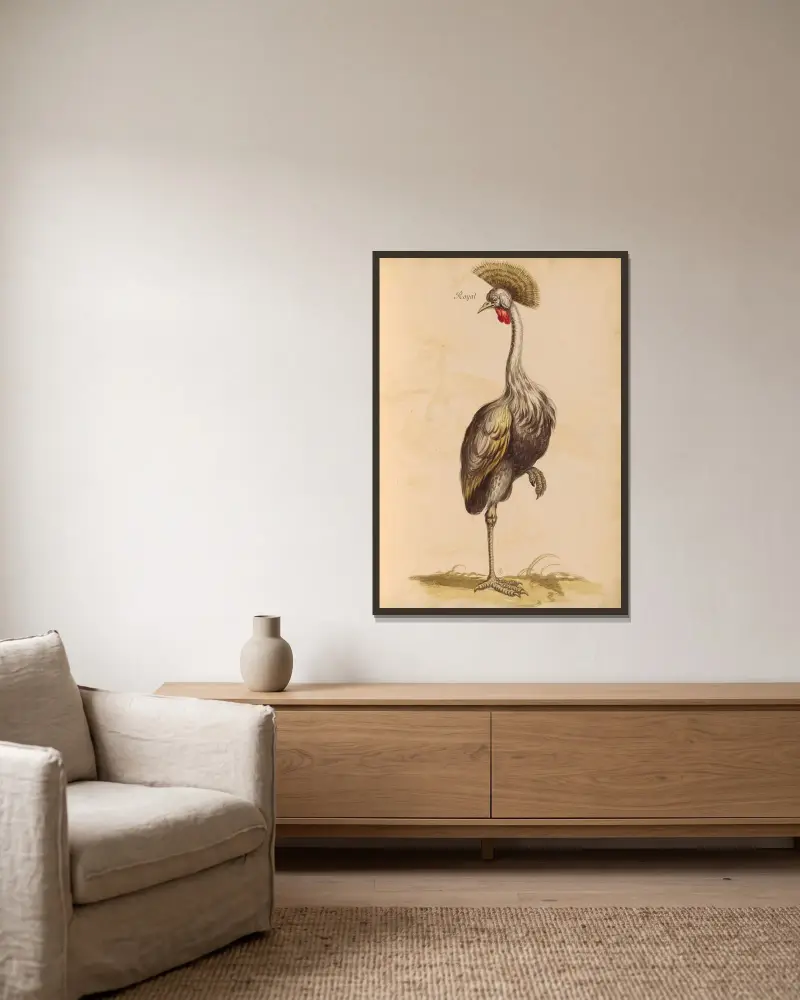 Vögel aus der Königlichen Menagerie Nr. 19 von Pieter Boel gerahmt an einer Wand