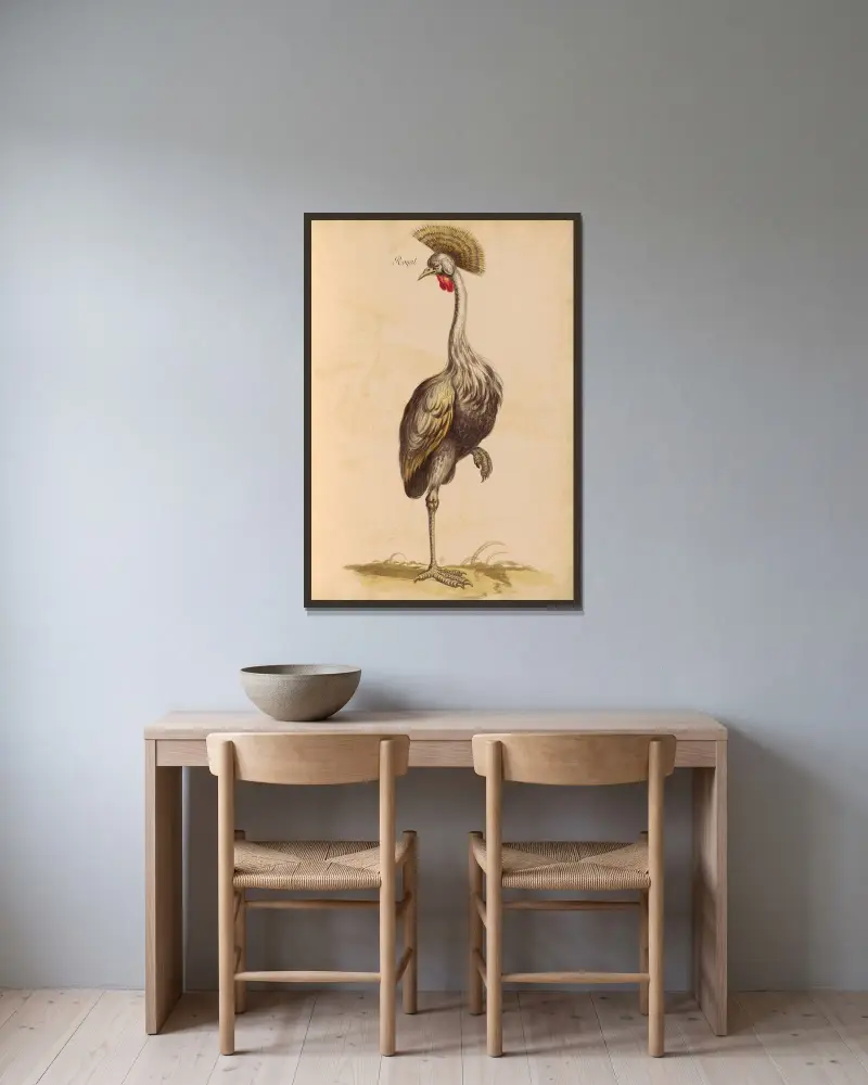 Vögel aus der Königlichen Menagerie Nr. 19 von Pieter Boel gerahmt an einer Wand