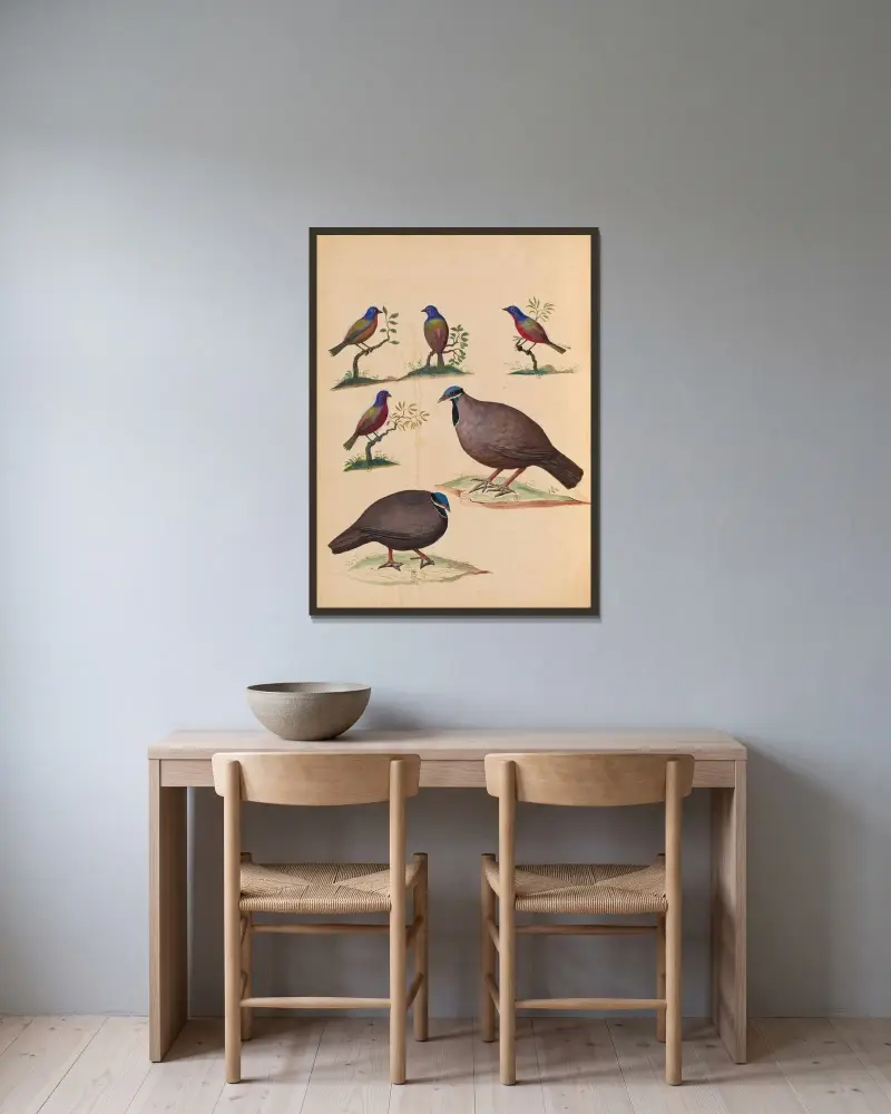 Vögel aus der königlichen Menagerie Taf. 20 von Pieter Boel gerahmt an einer Wand