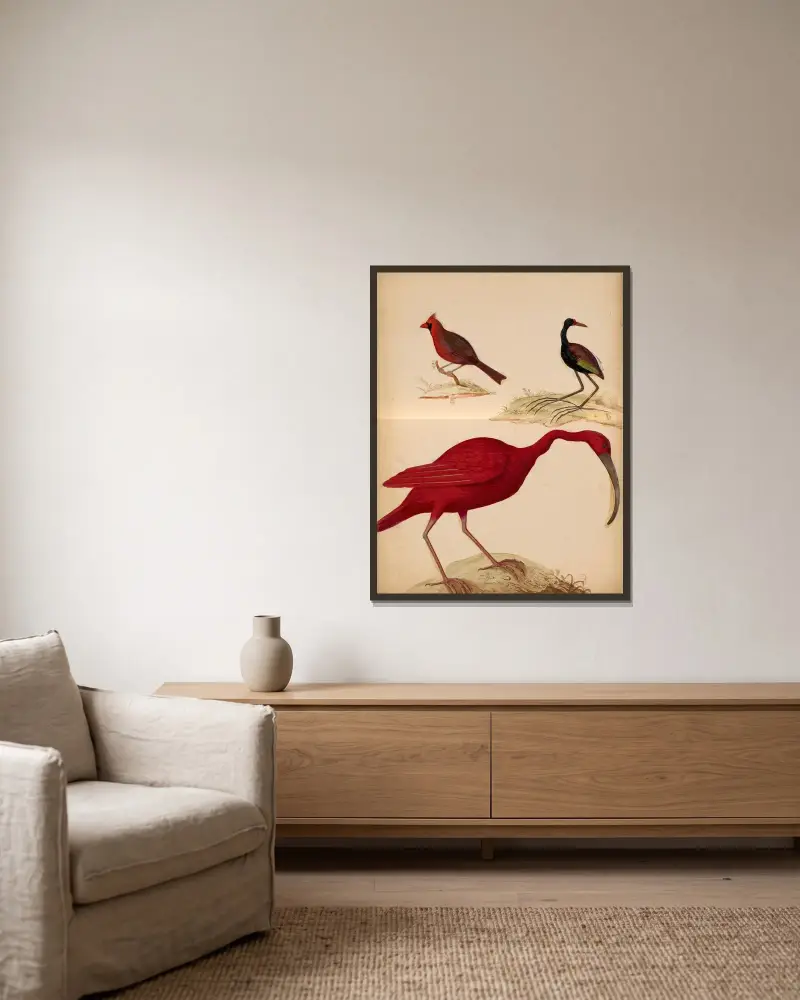 Oiseaux de la Ménagerie du Roi Pl.21 av Pieter Boel inramad på en vägg