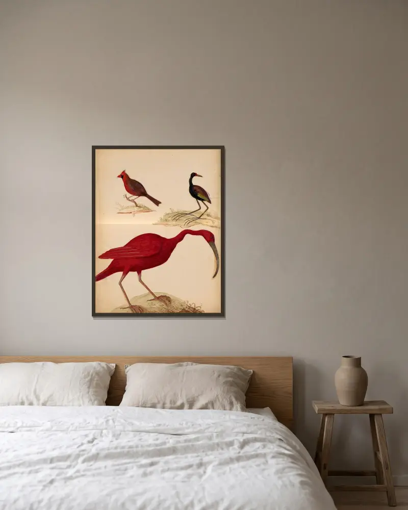 Oiseaux de la Ménagerie du Roi Pl.21 av Pieter Boel inramad på en vägg