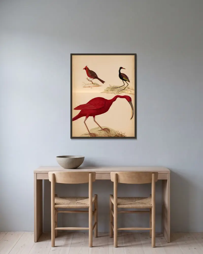 Oiseaux de la Ménagerie du Roi Pl.21 av Pieter Boel inramad på en vägg