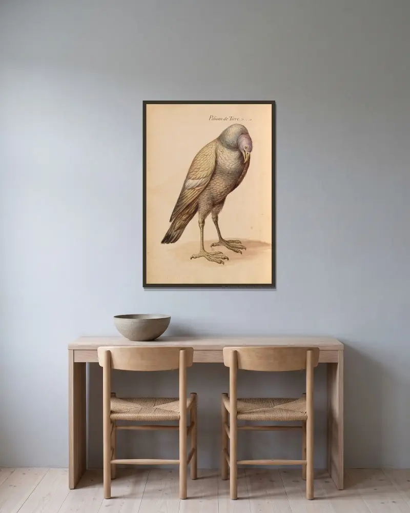 Vögel aus der königlichen Menagerie, Taf. 22 von Pieter Boel gerahmt an einer Wand