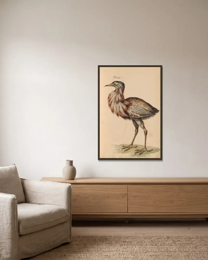 Oiseaux de la Ménagerie du Roi Pl.23 av Pieter Boel inramad på en vägg