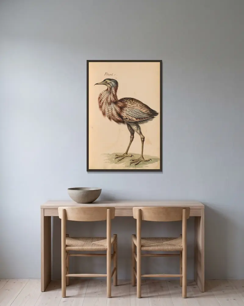 Oiseaux de la Ménagerie du Roi Pl.23 av Pieter Boel inramad på en vägg