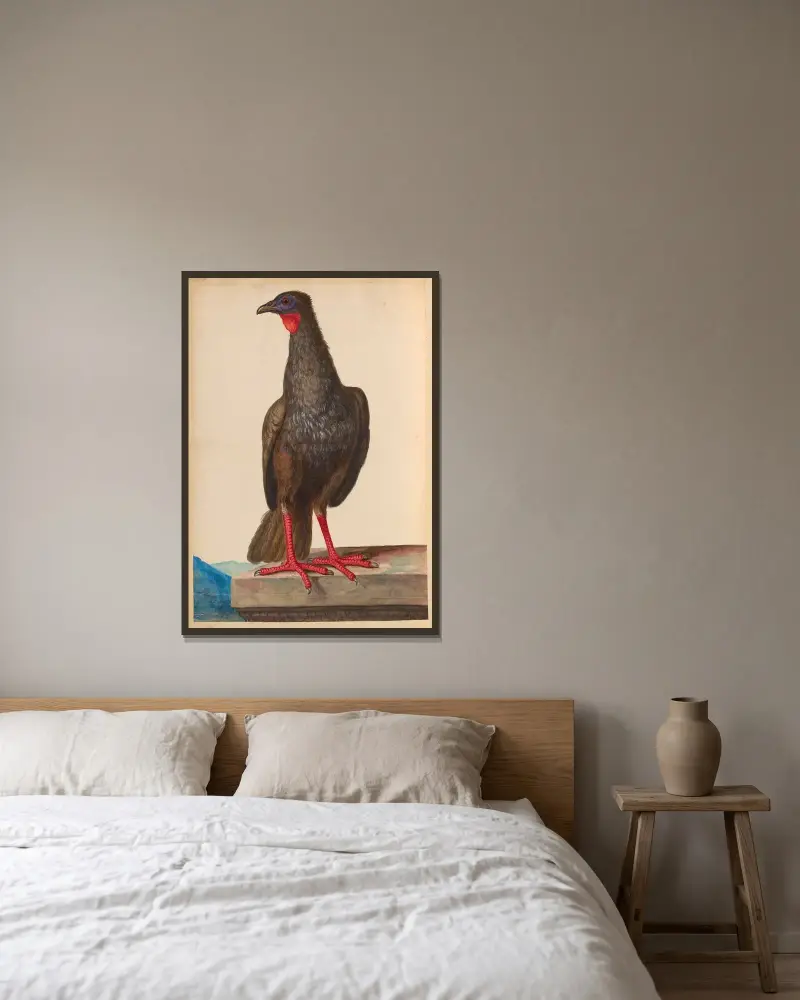 Vögel aus der königlichen Menagerie, Tafel 24 von Pieter Boel gerahmt an einer Wand